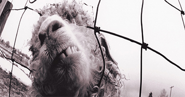 Pearl Jam 30th Anniversary of ‘Vs.’ Celebrated with Spatial Audio &amp; Special Editions